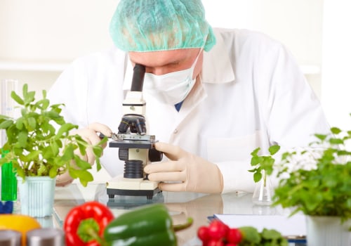 What Skills Do You Need to Become a Food Technologist?