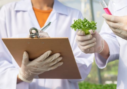 What Does a Food Scientist Do?